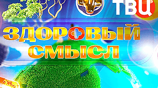 Здоровый смысл